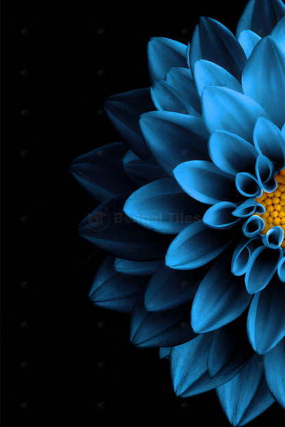 Elegant Blue Dahlia – Premium Digital Wall Art - 13416