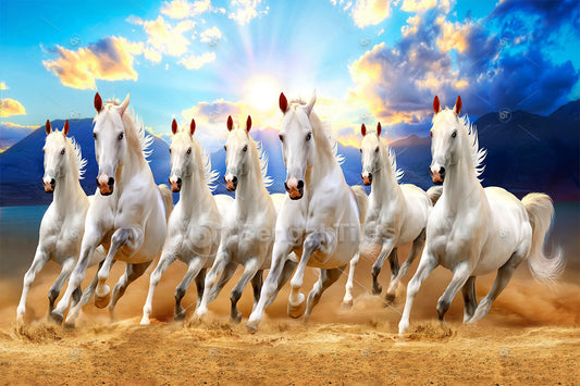 White Horses In Sunrise Serenity Wall Art - 13511